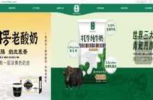 雪顿乳业 - 雪顿乳业,甘肃牦牛乳业,甘肃牦牛酸奶,甘肃雪顿,雪顿生物乳业