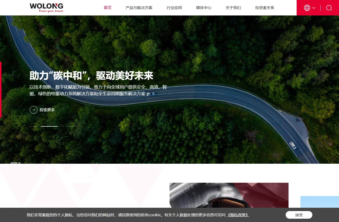 卧龙电气驱动集团股份有限公司